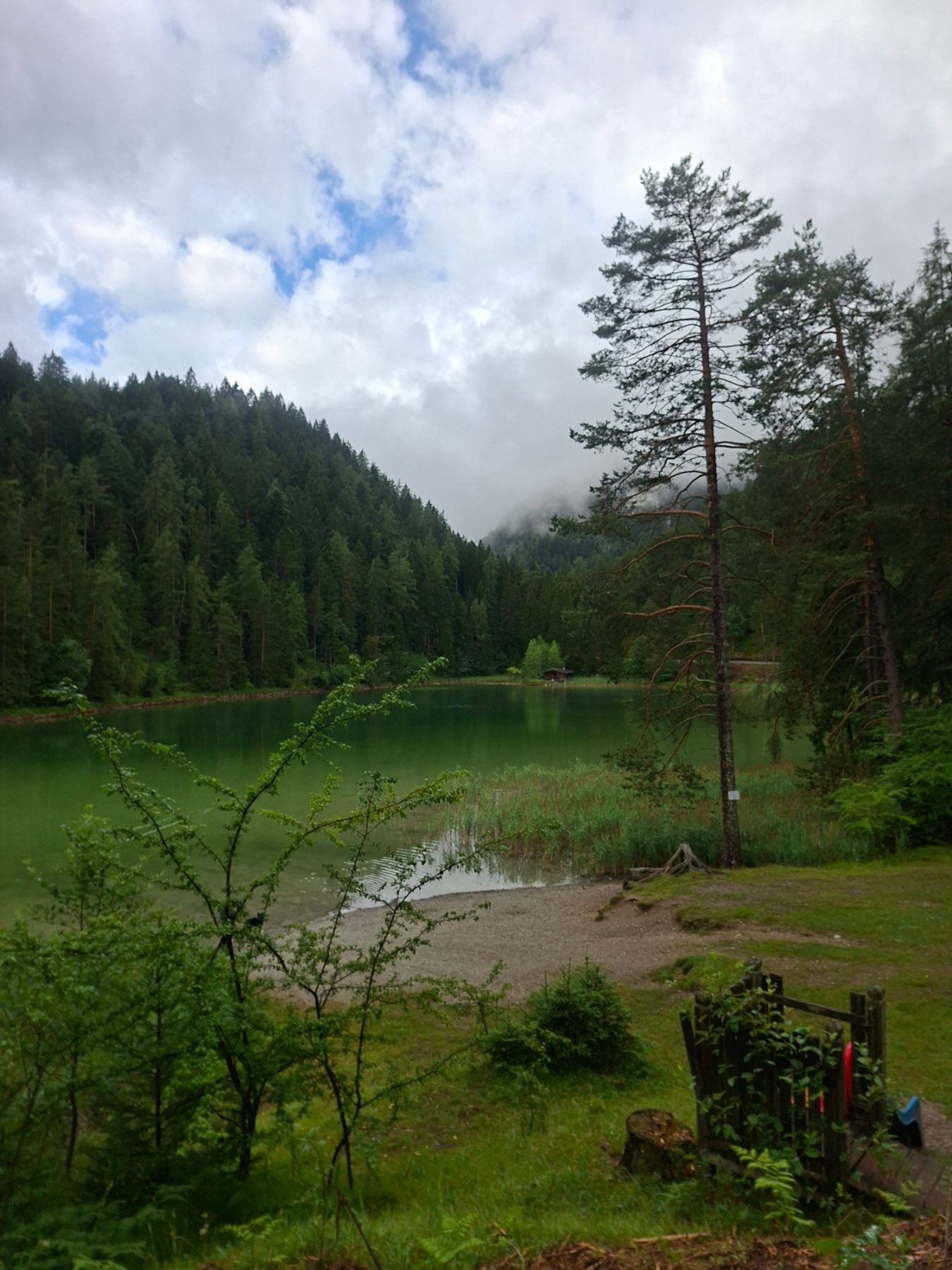 Five lakes, one dream.