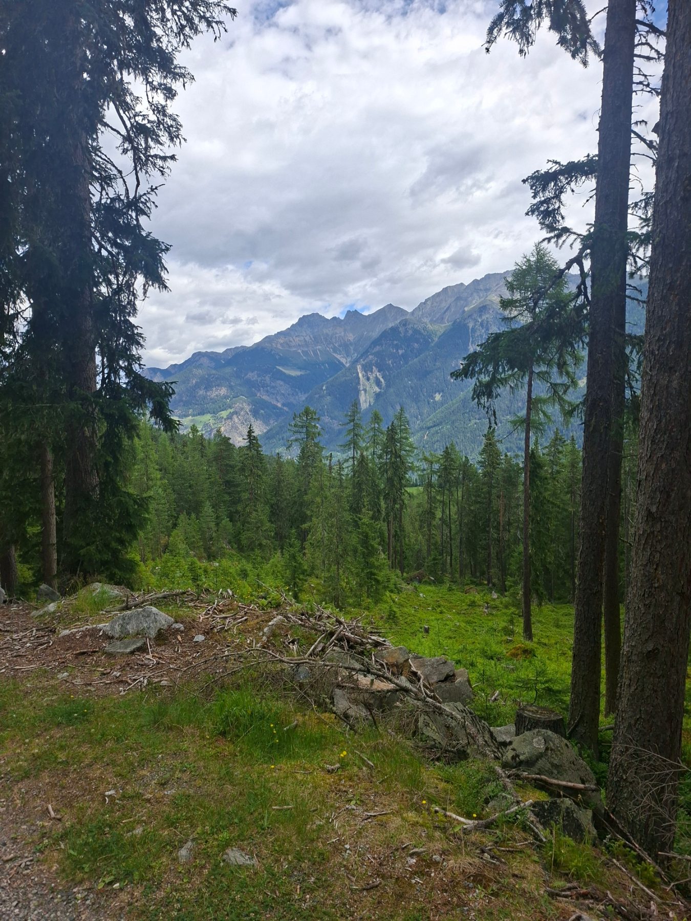 July 2026 – Crossing the Alps – Day 4: On the Ötztal Urweg Trail